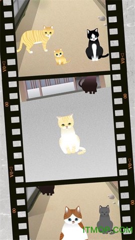 可爱猫咪满满图1