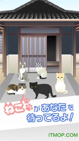 可爱猫咪满满图2
