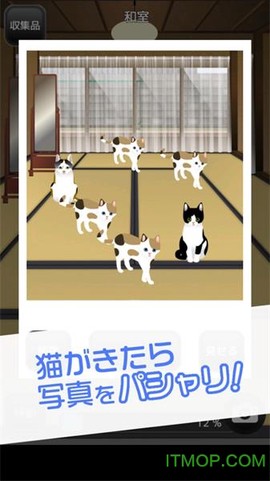 可爱猫咪满满图3