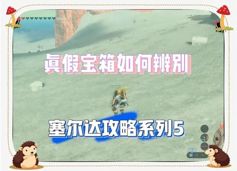 神奇宝贝刷怪箱怎么用[图2]