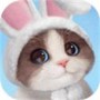 我的小猫咪