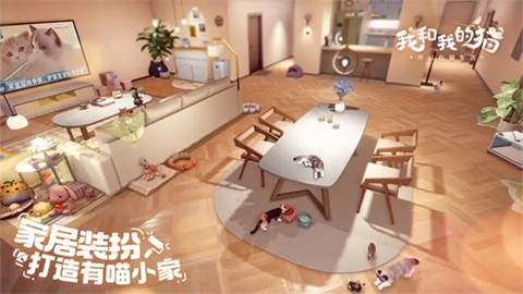 我的小猫咪图1