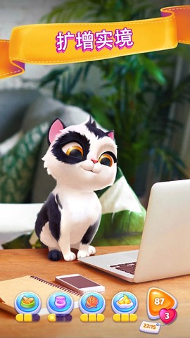 我的小猫咪图2