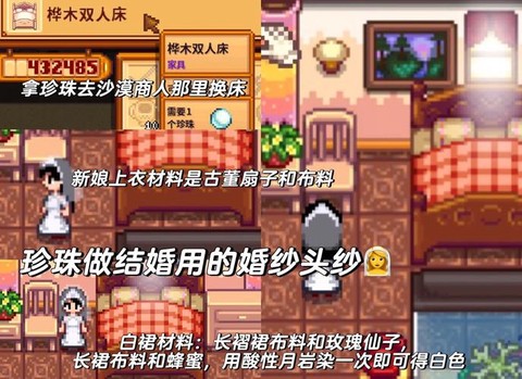 星露谷物语珍珠什么用[图2]