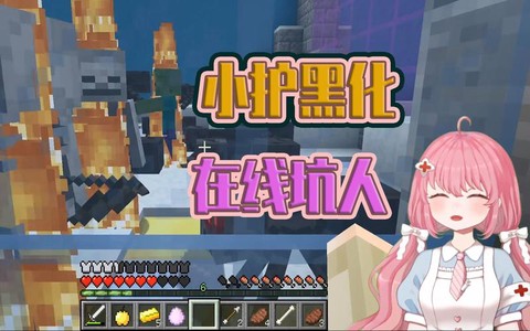 我的世界小护长什么样[图1]