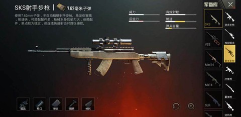 绝地求生sks怎么样[图1]