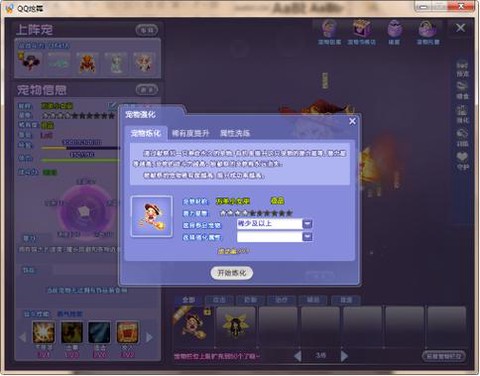 qq炫舞怎么打造宠物