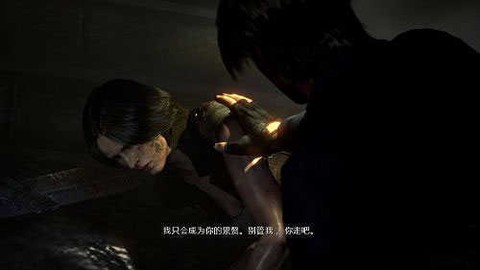 生化危机6图3