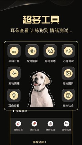 人狗交流神器图3