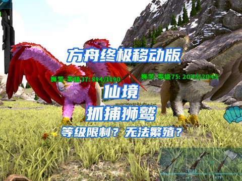 方舟手游狮鹫怎么滑翔