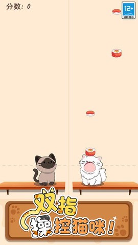 猫咪二重奏正式版图1