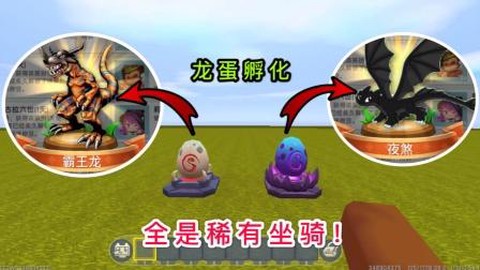 迷你世界的龙蛋怎么孵[图1]