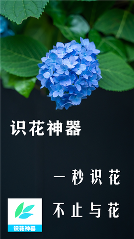 识花神器图2