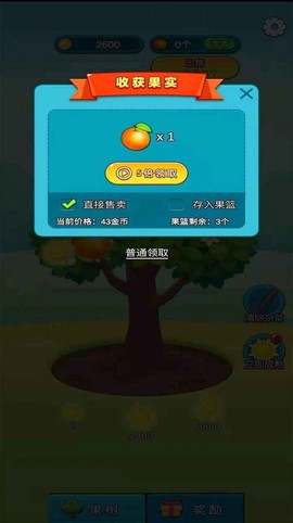 柚子熟了图1