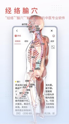 第三人体[图1]