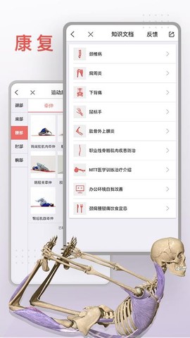 第三人体图1