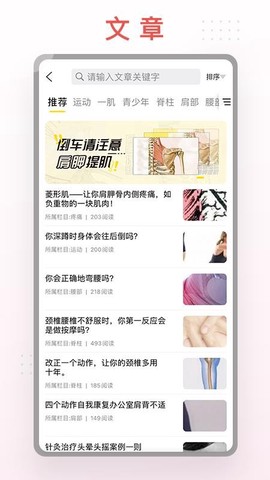 第三人体图2