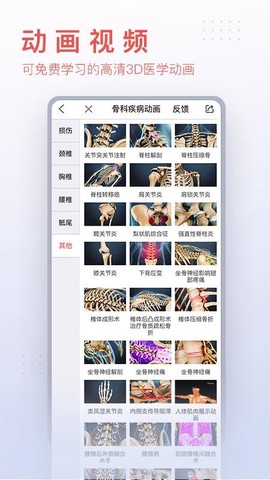第三人体图3