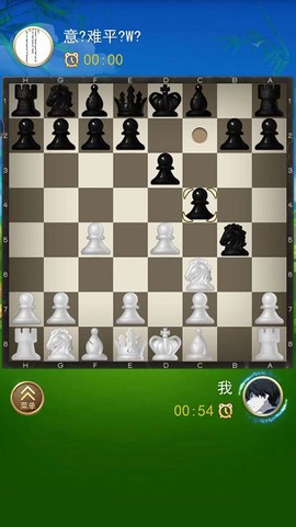 国际象棋双人[图1]