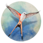 https://static.down8818.com/uploads/20250612/684aa0edb219f3.49990401.png