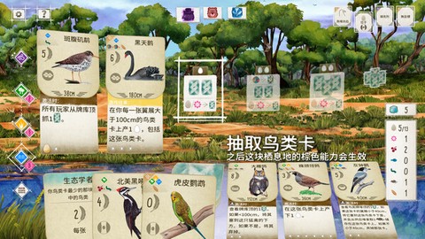 展翅翱翔[图4]