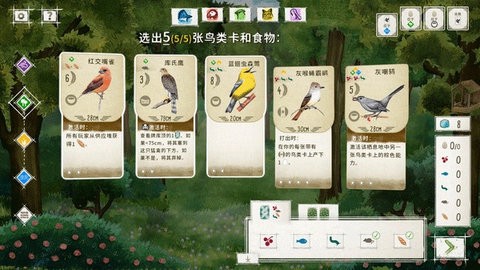 展翅翱翔图3