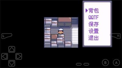 口袋妖怪永恒纪元图2