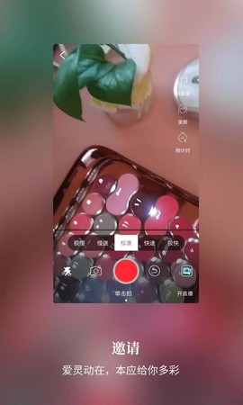 爱灵动图3