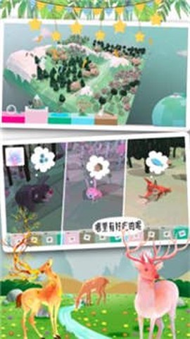 米加世界奇妙森林图2