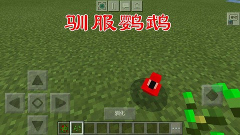我的世界怎么训服鹦鹉[图1]