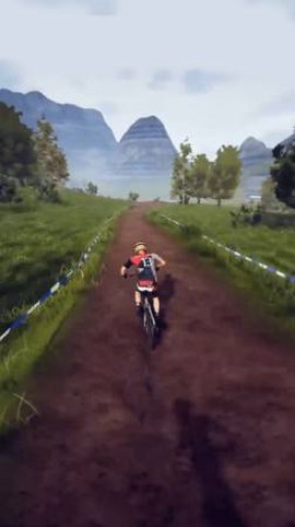 飞跃自行车图2