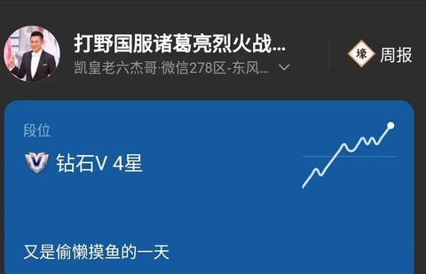 王者荣耀怎么看周报[图2]