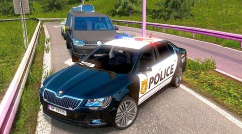 高级警车驾驶[图3]