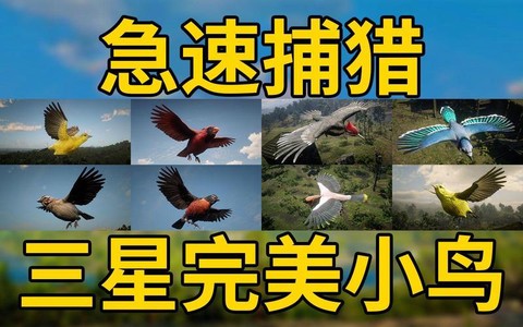 荒野大镖客怎么打小鸟[图1]