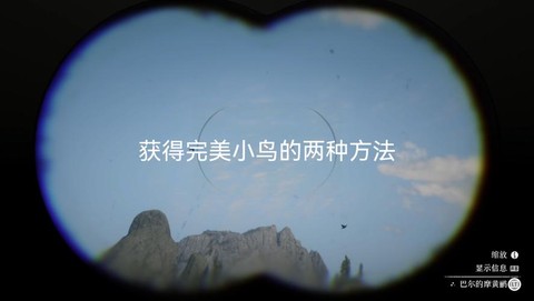 荒野大镖客怎么打小鸟[图2]