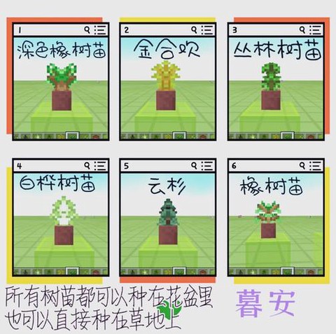 迷你世界中树苗怎么种[图1]