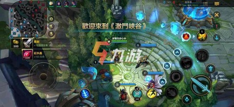 英雄联盟手游地址填什么