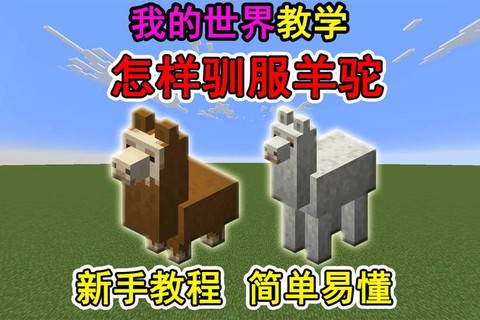 我的世界羊驼怎么走[图1]