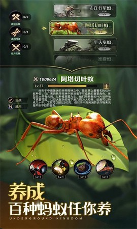 小小蚁国科技攻略图3