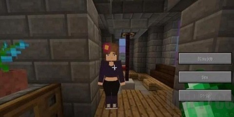 我的世界珍妮冒险直装版[图3]