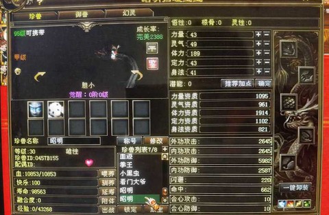 天龙八部宝宝怎么看
