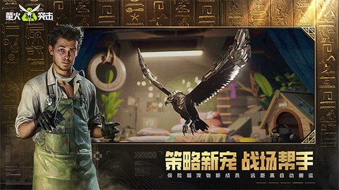 萤火突击渠道服图2