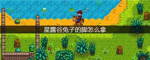 星露谷物语星兔脚什么