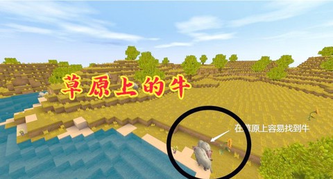 迷你世界怎么抓萤火虫
