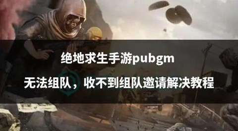 绝地求生怎么组队路人