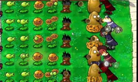 植物大战僵尸火影忍者版图2