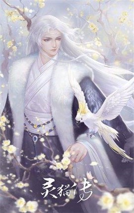 灵猫传[图2]