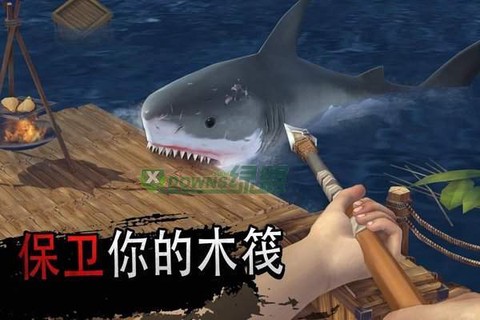 筏子上的生存图1