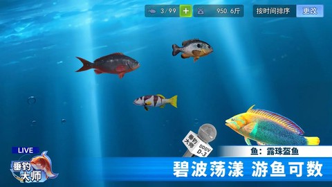垂钓大师图2