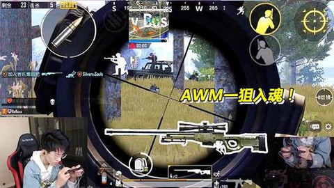 绝地求生鹰眼是什么
